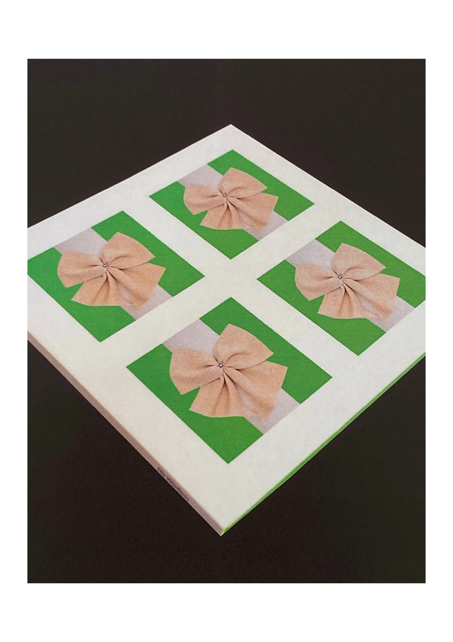 The Most Beautiful Swiss Books 2024