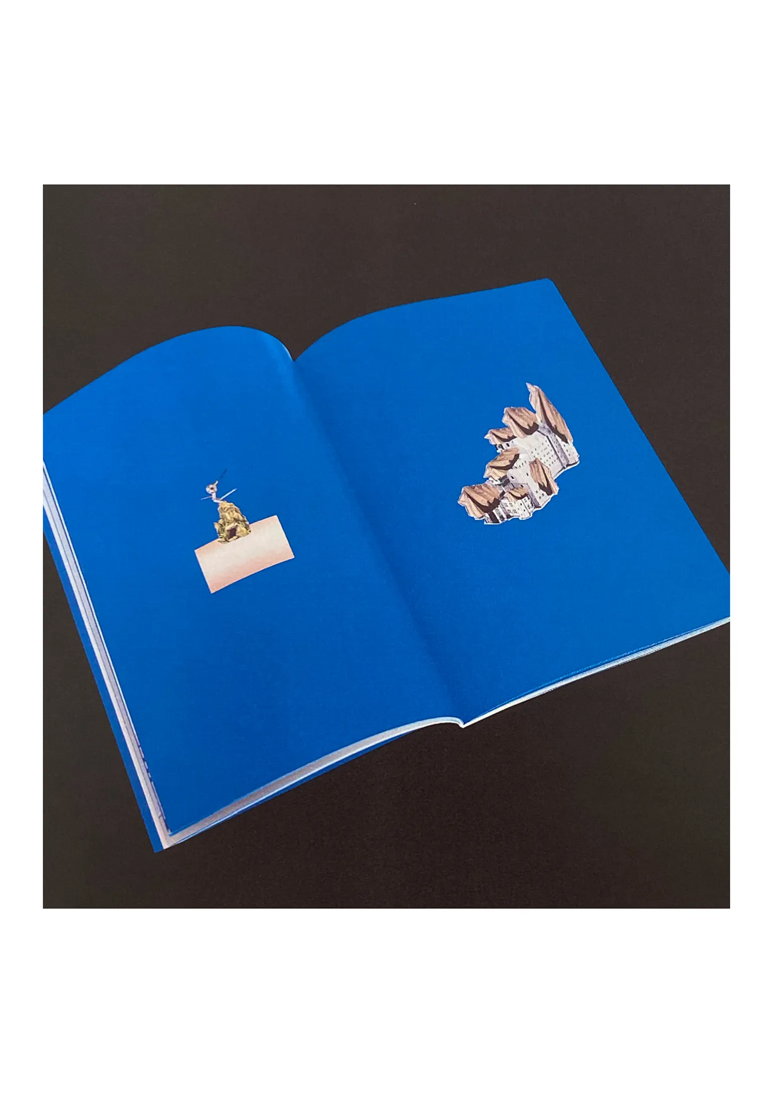 The Most Beautiful Swiss Books 2024